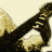 leo_exp