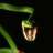 cristian_snake