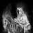 dark_rider