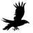 the crow x