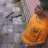 elbuepe
