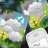 RainFlash