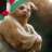 Chancho Contreras