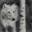 wolfathedoor