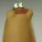 livetnediser