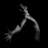 seba_stian