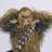 ChewBacca