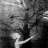 tania_tex