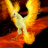 MOLTRES