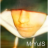MrYulS