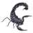 Scorpionida