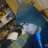 Armando_24