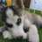 Cloud_lycan