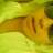 diego_skate