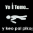 vishion22