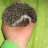 froggy09