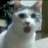 >Riggo<