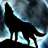2lobo solitario2