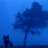 bluewolf.05
