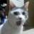 xambin