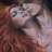 Sophie_Psique
