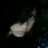 Doom_girl