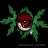 callejerock