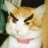 angrymadcat
