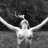 NakedToTheCold