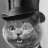 mistercat