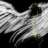 Arch_Tyrael