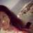 Camilita_G