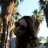 Rosemary_M