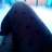 boundy
