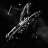 R.Impaler