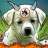 KISHU