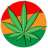 Yerko_Francisco