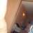 escorpion34