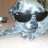 perro.cft