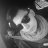 nicoxxn
