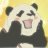 PandasticoGrawe