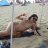 DISCY LA LOCA