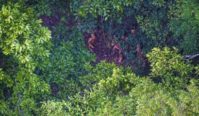 Fotografían a una tribu del Amazonas nunca antes vista