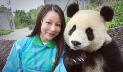 Panda gigante es adicto a las selfies