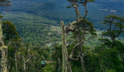 Inauguran el primer teleférico del sur de Chile en Huilo Huilo