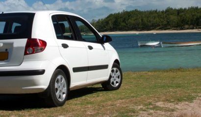 ¿Sabias que viajar en auto pone en peligro la vida marina?