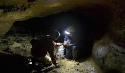 Logran por primera vez extraer el ADN de especies humanas antiguas sin usar huesos.