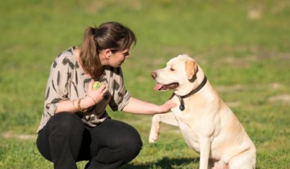 La increible historia de Blat, un perro que nació para contribuir con la medicina