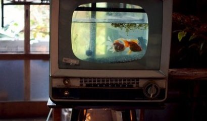 ¿Qué hacer con tu "Vieja" TV?