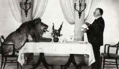 Fotos que tienes que ver antes de estirar la pata (Parte 2)